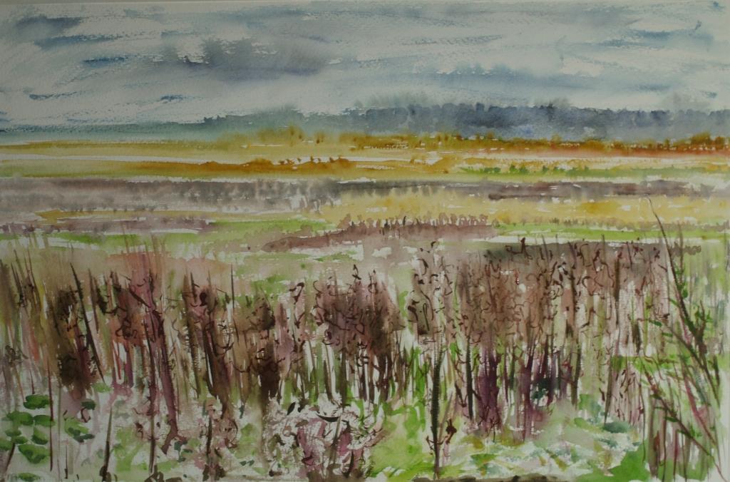 polder in de regen aquarel